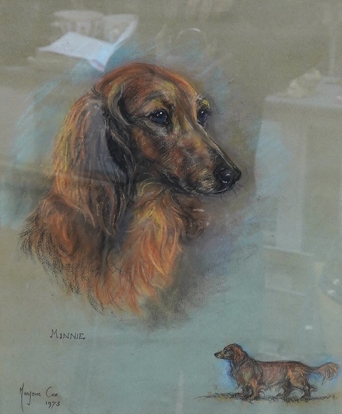 Marjorie Cox (1915-2003), pastel, Portrait of a Dachshund 'Minnie', signed and dated 1973, 42 x 36cm. Condition - fair